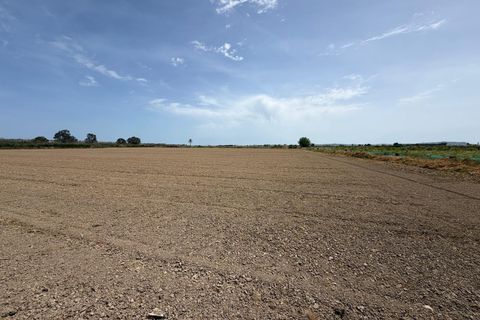 Terra a Dolores, Alicante, Dolores - € 115.000 | Ref: F137/3390 - foto 5