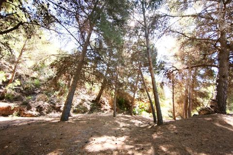 Tomt i Lorca, Murcia, Lorca - € 585 000 | Ref: tpg1189/12190 - foto 5
