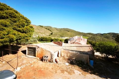 Tomt i Lorca, Murcia, Lorca - € 585 000 | Ref: tpg1189/12190 - foto 21