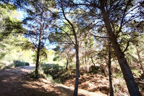 Tomt i Lorca, Murcia, Lorca - € 585 000 | Ref: tpg1189/12190 - foto 32