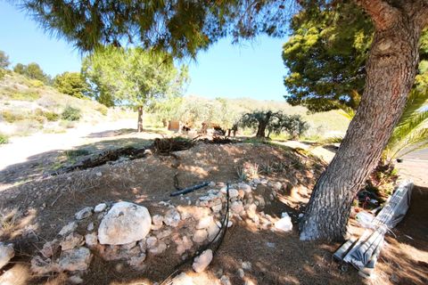 Tomt i Lorca, Murcia, Lorca - € 585 000 | Ref: tpg1189/12190 - foto 34