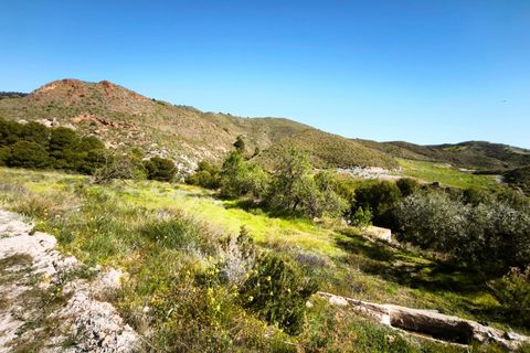 Tomt i Lorca, Murcia, Lorca - € 585 000 | Ref: tpg1189/12190 - foto 35