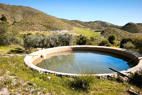 Tomt i Lorca, Murcia, Lorca - € 585 000 | Ref: tpg1189/12190 - foto 36