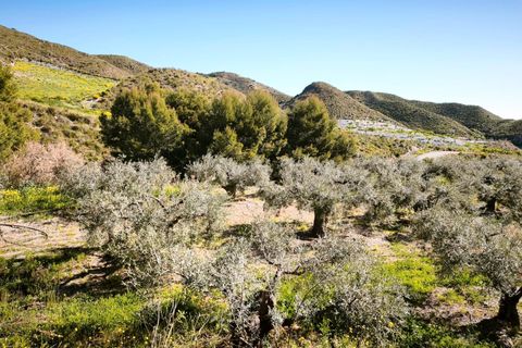 Tomt i Lorca, Murcia, Lorca - € 585 000 | Ref: tpg1189/12190 - foto 37