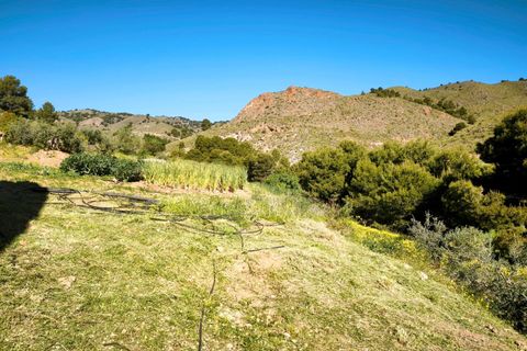 Tomt i Lorca, Murcia, Lorca - € 585 000 | Ref: tpg1189/12190 - foto 38