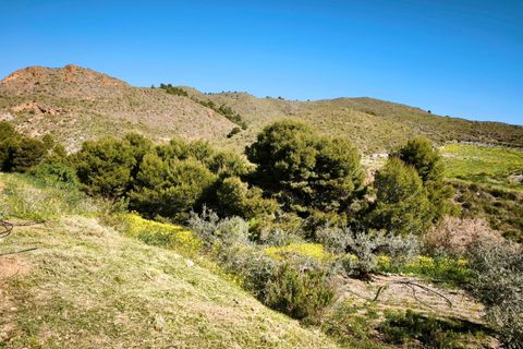 Tomt i Lorca, Murcia, Lorca - € 585 000 | Ref: tpg1189/12190 - foto 39