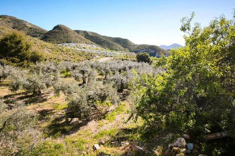 Tomt i Lorca, Murcia, Lorca - € 585 000 | Ref: tpg1189/12190 - foto 41