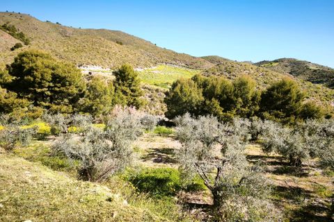 Tomt i Lorca, Murcia, Lorca - € 585 000 | Ref: tpg1189/12190 - foto 42
