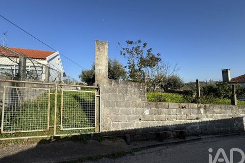 Grond in Tomar, Santarem, Tomar - € 21.500 | Ref: 885130 - foto 17