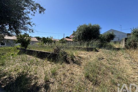 Grond in Tomar, Santarem, Tomar - € 21.500 | Ref: 885130 - foto 3