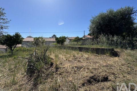 Grond in Tomar, Santarem, Tomar - € 21.500 | Ref: 885130 - foto 4