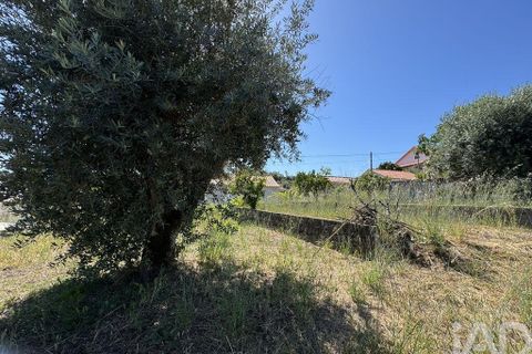 Grond in Tomar, Santarem, Tomar - € 21.500 | Ref: 885130 - foto 5