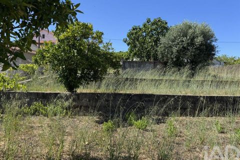 Grond in Tomar, Santarem, Tomar - € 21.500 | Ref: 885130 - foto 6