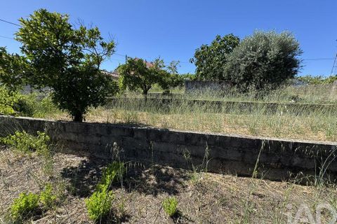 Grond in Tomar, Santarem, Tomar - € 21.500 | Ref: 885130 - foto 8