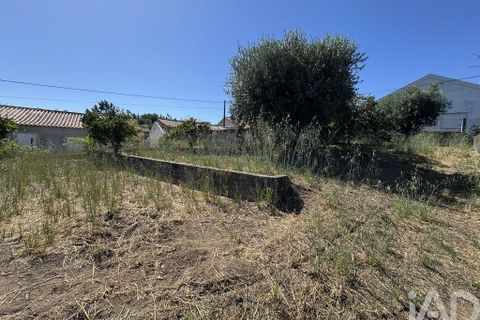 Grond in Tomar, Santarem, Tomar - € 21.500 | Ref: 885130 - foto 9
