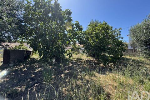 Grond in Tomar, Santarem, Tomar - € 21.500 | Ref: 885130 - foto 11