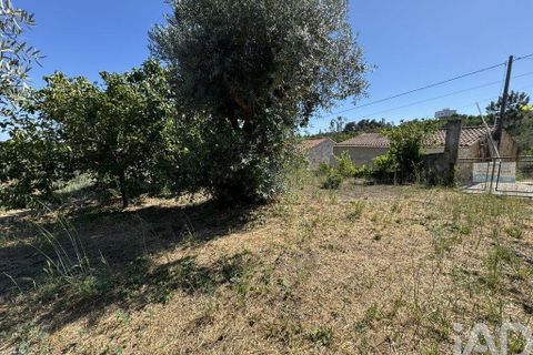 Grond in Tomar, Santarem, Tomar - € 21.500 | Ref: 885130 - foto 13
