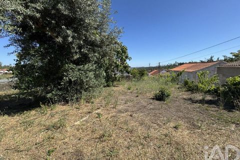 Grond in Tomar, Santarem, Tomar - € 21.500 | Ref: 885130 - foto 14