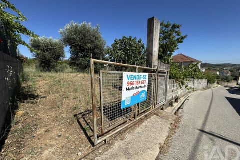 Grond in Tomar, Santarem, Tomar - € 21.500 | Ref: 885130 - foto 19