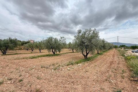 Villa a Lel, Alicante, Lel - € 420.000 | Ref: els9078 - foto 31