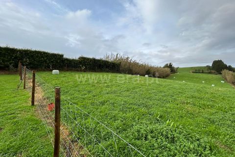Villa a Horta, Faial, Horta - € 360.000 | Ref: 374260094 - foto 20