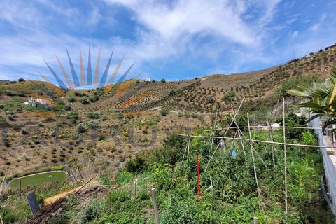 Cortijo i Iznate, Malaga, Iznate - € 270.000 | Ref: MS372 - foto 24