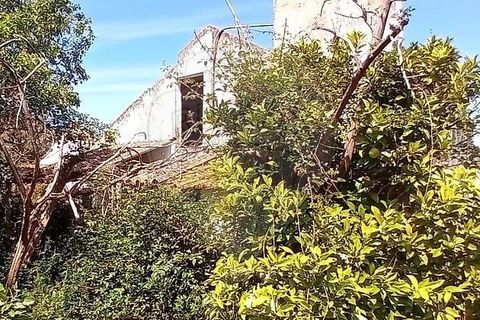 Farm hus i Coruche, Santarem, Coruche - € 99.000 | Ref: 120611246-369 - foto 3