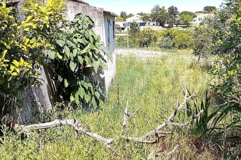 Farm hus i Coruche, Santarem, Coruche - € 99.000 | Ref: 120611246-369 - foto 7