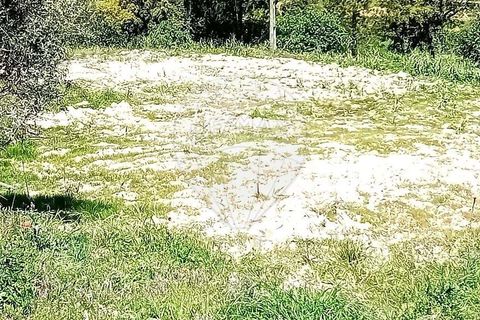 Farm hus i Coruche, Santarem, Coruche - € 99.000 | Ref: 120611246-369 - foto 9