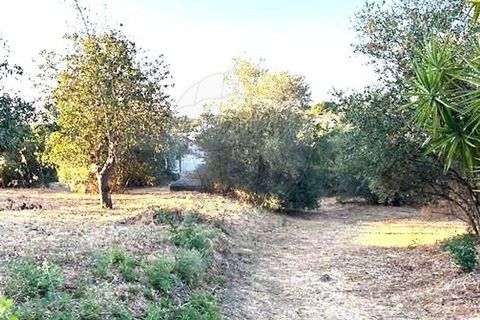 Farm hus i Coruche, Santarem, Coruche - € 99.000 | Ref: 120611246-369 - foto 10