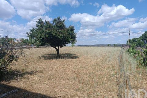 Byhus i Mogadouro, Braganca, Mogadouro - € 100.000 | Ref: 882611 - foto 8