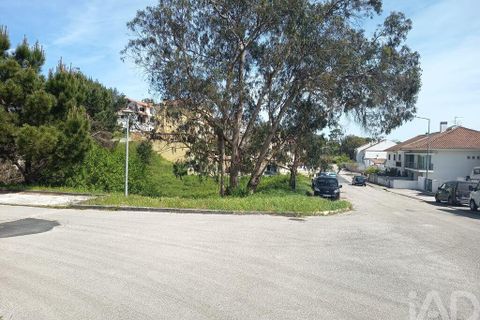 Terra a Rio Maior, Santarem, Rio Maior - € 184.200 | Ref: 860364 - foto 9