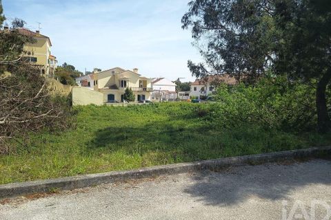 Terra a Rio Maior, Santarem, Rio Maior - € 184.200 | Ref: 860364 - foto 10