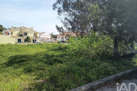 Terra a Rio Maior, Santarem, Rio Maior - € 184.200 | Ref: 860364 - foto 11