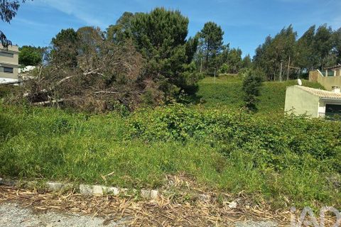 Terra a Rio Maior, Santarem, Rio Maior - € 184.200 | Ref: 860364 - foto 16