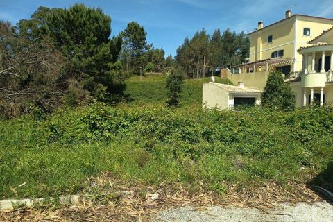 Terra a Rio Maior, Santarem, Rio Maior - € 184.200 | Ref: 860364 - foto 17