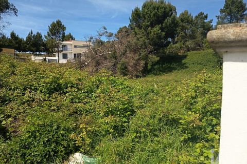 Terra a Rio Maior, Santarem, Rio Maior - € 184.200 | Ref: 860364 - foto 19