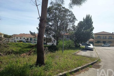 Terra a Rio Maior, Santarem, Rio Maior - € 184.200 | Ref: 860364 - foto 22