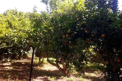 Landejendom i Lipari, Messina, Lipari - € 650.000 | Ref: AEV-1166 - foto 15