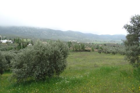 Helårsgrund i Antequera, Malaga, Antequera - € 29.000 | Ref: EXP14169/8930 - foto 3