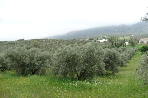 Helårsgrund i Antequera, Malaga, Antequera - € 29.000 | Ref: EXP14169/8930 - foto 4