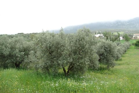 Helårsgrund i Antequera, Malaga, Antequera - € 29.000 | Ref: EXP14169/8930 - foto 5
