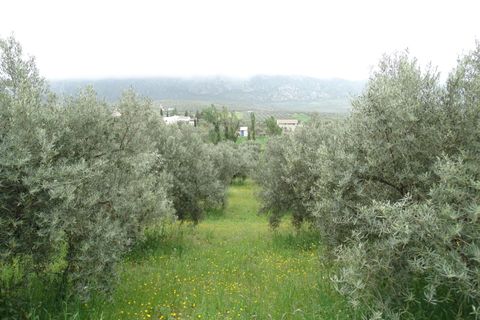 Helårsgrund i Antequera, Malaga, Antequera - € 29.000 | Ref: EXP14169/8930 - foto 7