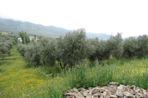 Helårsgrund i Antequera, Malaga, Antequera - € 29.000 | Ref: EXP14169/8930 - foto 8