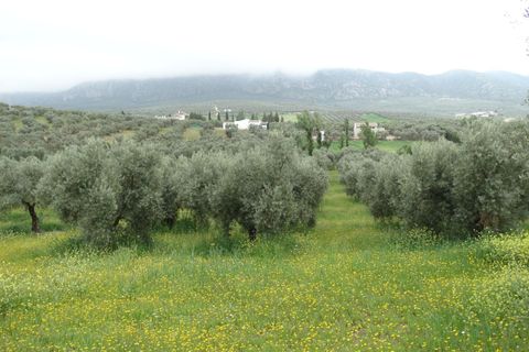 Helårsgrund i Antequera, Malaga, Antequera - € 29.000 | Ref: EXP14169/8930 - foto 9