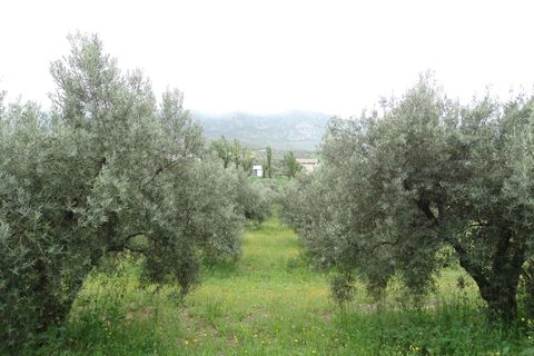 Helårsgrund i Antequera, Malaga, Antequera - € 29.000 | Ref: EXP14169/8930 - foto 10