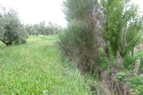Helårsgrund i Antequera, Malaga, Antequera - € 29.000 | Ref: EXP14169/8930 - foto 14