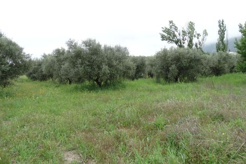 Helårsgrund i Antequera, Malaga, Antequera - € 29.000 | Ref: EXP14169/8930 - foto 16