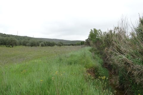 Helårsgrund i Antequera, Malaga, Antequera - € 29.000 | Ref: EXP14169/8930 - foto 17