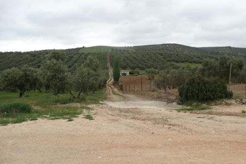 Helårsgrund i Antequera, Malaga, Antequera - € 29.000 | Ref: EXP14169/8930 - foto 19